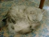20070728-3.jpg