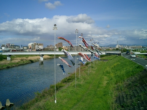 201304-koinobori-1.jpg