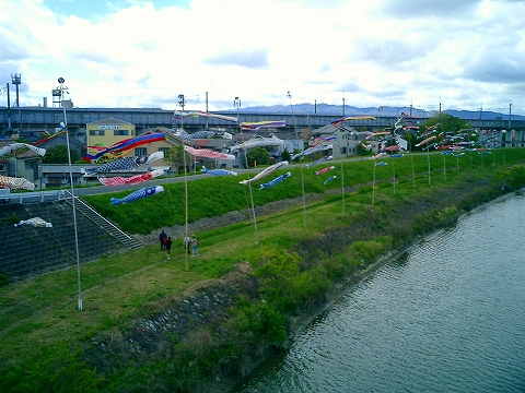 201304-koinobori-1.jpg