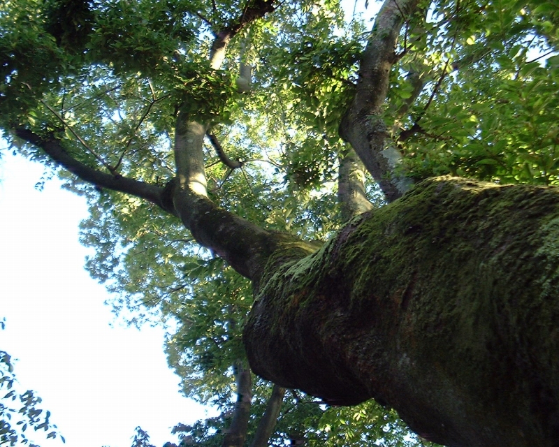 20150823_fuji_finepix-1500-7c.jpg