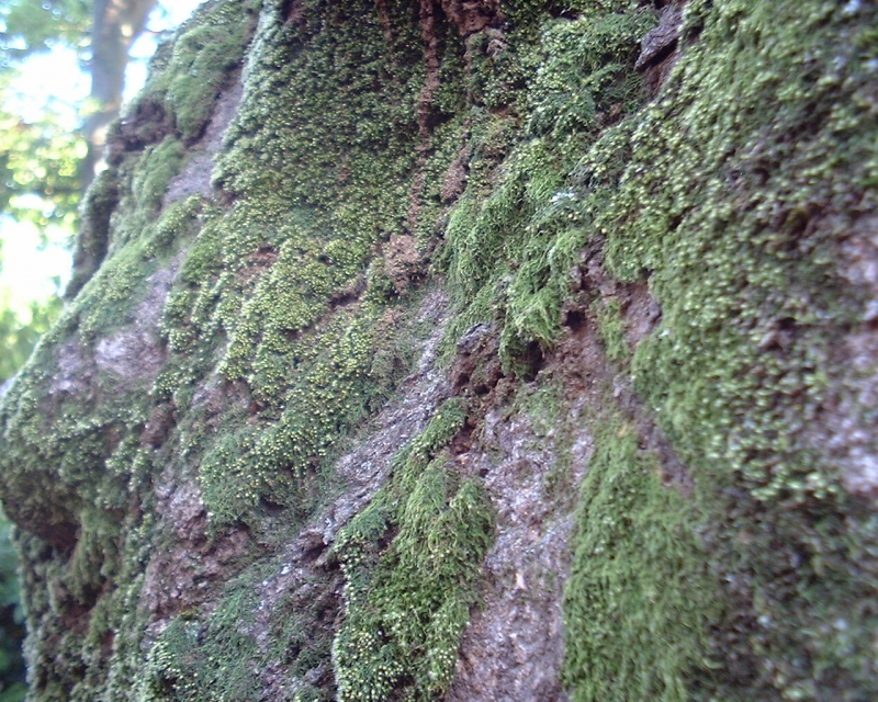 20150823_fuji_finepix-1500-7d.jpg