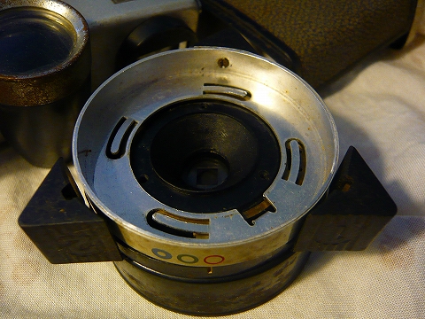 20150928_fujipet-3a.jpg